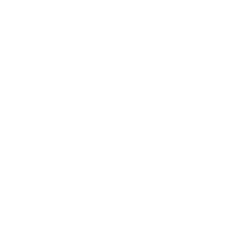 Newsletters Icon